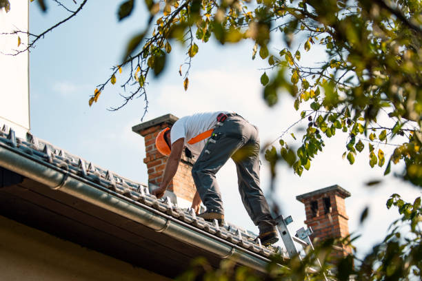 Quick and Trustworthy Emergency Roof Repair Services in Ashland, NJ